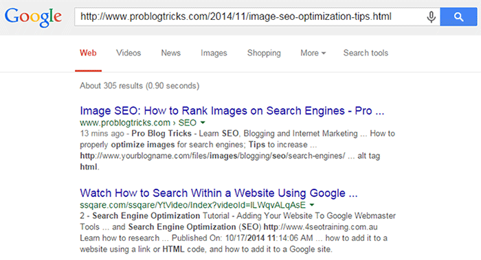 Indexed web page in google serp