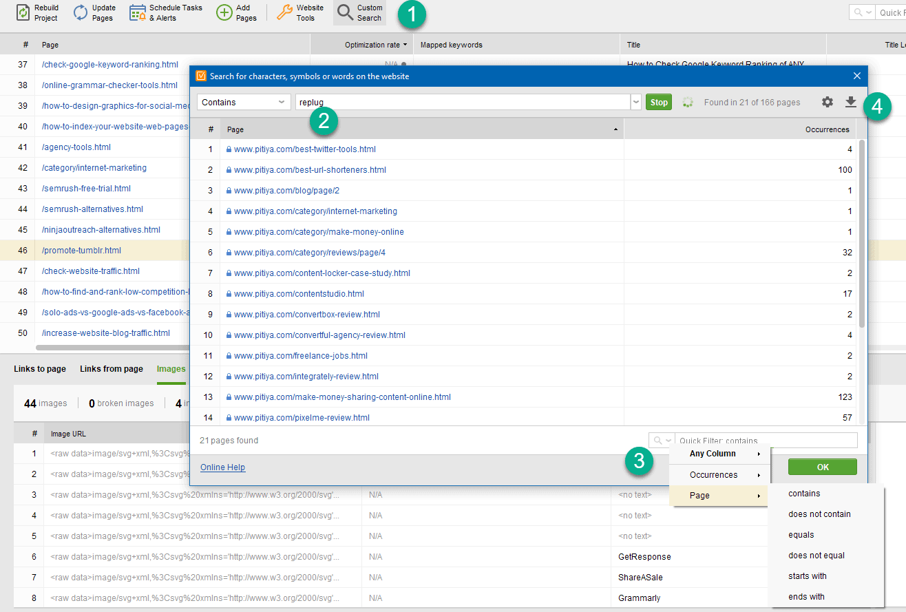 Custom search feature in Website Auditor review