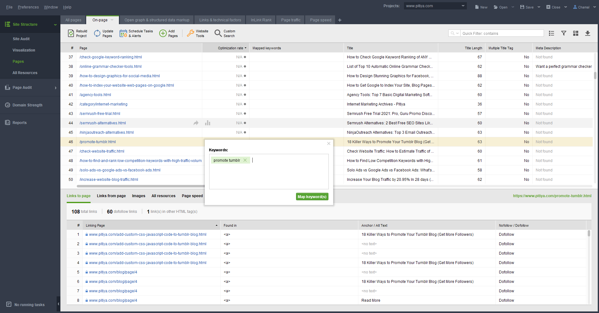 all internal pages for the domain