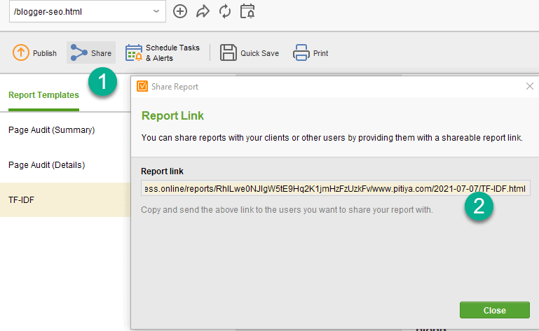 Generate a report shareable link in Website Auditor